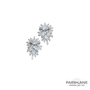 Park Lane Icicle Earrings NWT